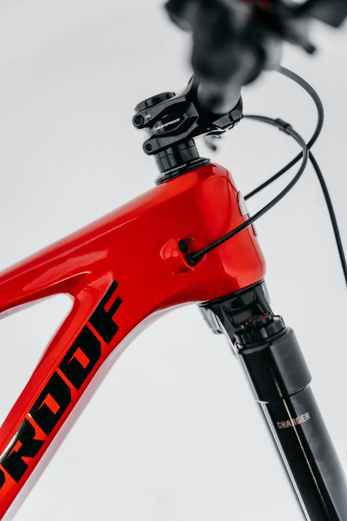 Nukeproof Giga Carbon-28.webp